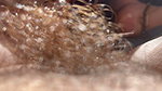Hairy pussy
