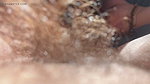 Hairy pussy