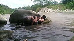 fucking secretly in the river