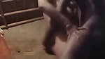 Village shy girl fucking hard