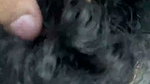 Ema enjoys it