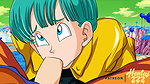 DRAGON BALL – THE BLOWJOB OF BULMA HENTAI