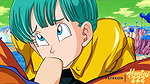 DRAGON BALL – THE BLOWJOB OF BULMA HENTAI
