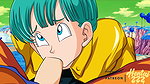 DRAGON BALL – THE BLOWJOB OF BULMA HENTAI