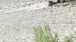 Colombian Girl Masturbates in Public on the Street