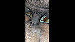 Mallu Boy Fucks His Hot Hairy Pussy Wife At Night with Full Of Romance Hot Kerala Couple