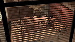 Having sex with my friends sister