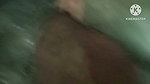 desi indian step brother and stepsister hot in night hindi stor