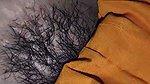 I fucked my stepsister when I found her alone. 00