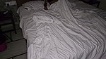 Sharing Room with stepsister turn into a Rough sex