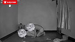Sex with Ex Girlfriend with Condom Enjoy Full Video