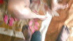 Hotboy Multiple Position Fack Her Hotwife, Blowjob Cum in Mouth Finishing