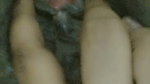 BIG BOOBS CHUBBY BENGALI COLLEGE GIRL FINGERING WET PUSSY 4
