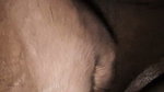 Bengali Cheater Babe Fucking 12
