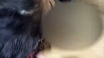 I suck my husband while I tell him how I do a cuckold
