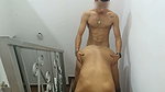 I see my stepmom’s tits and the horniness I can’t stand fucking her pussy – Porno en Español