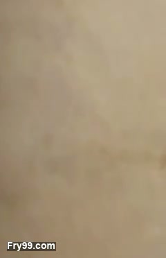 Frame 2