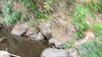 I help stranger and she wanted to go to the woods to have sex with me and we almost got caught