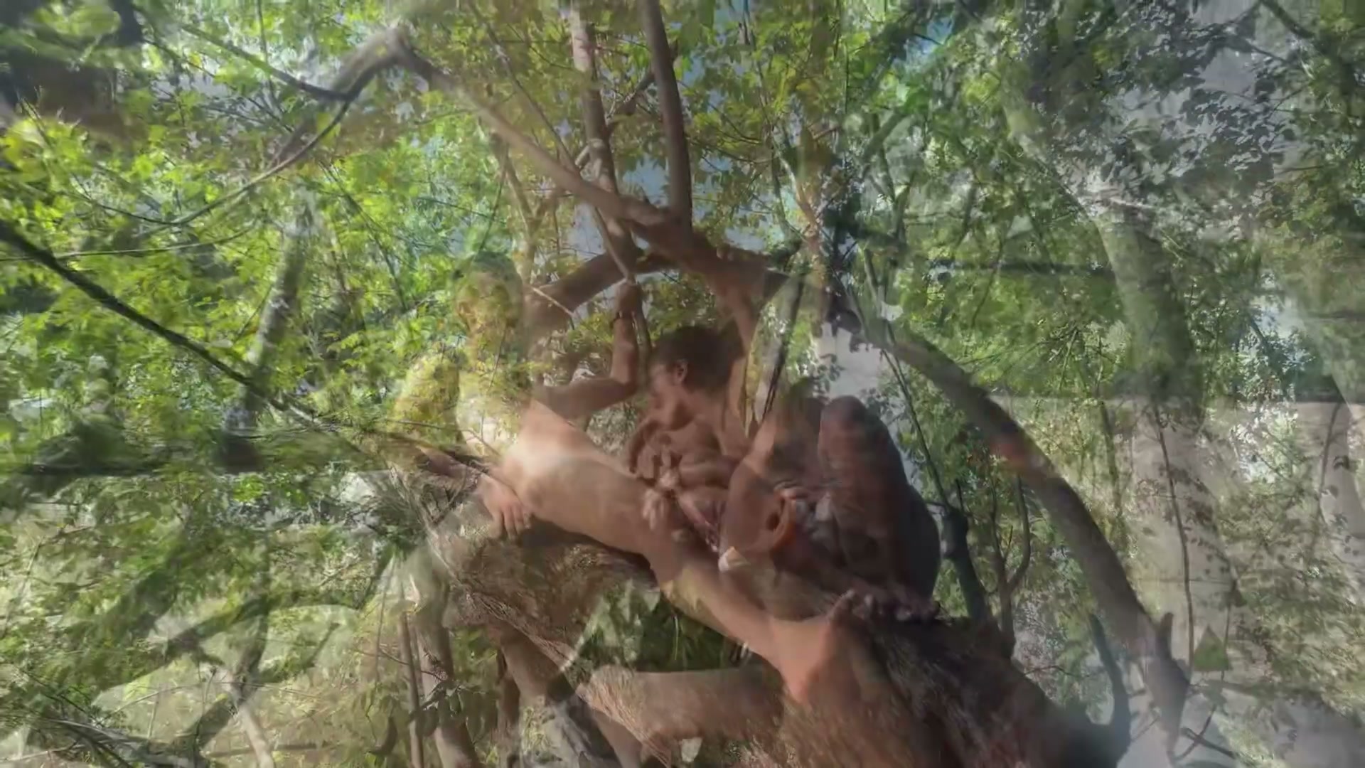 Frame 3