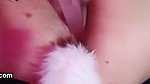 I have a tail that I will put in my ass