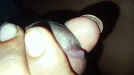 New Dasi Sexx Pron Pussy_hot Vabi Voice Sax