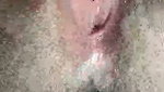 New stripchat collection – 24