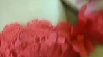 arshika