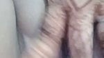 shivani