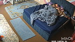 Part 7 I Want to Indian Desi Aunty House During Summer Vacation and Enjoy Lot with My Lovely Indian Aunty