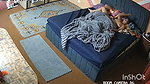 Part 7 I Want to Indian Desi Aunty House During Summer Vacation and Enjoy Lot with My Lovely Indian Aunty