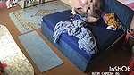 Part 6 I Want to Indian Desi Stepmom House During Summer Vacation and Enjoy Lot with My Lovely Indian Sexy Stepmom