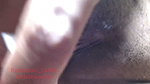 Marwari Rajasthani Videos