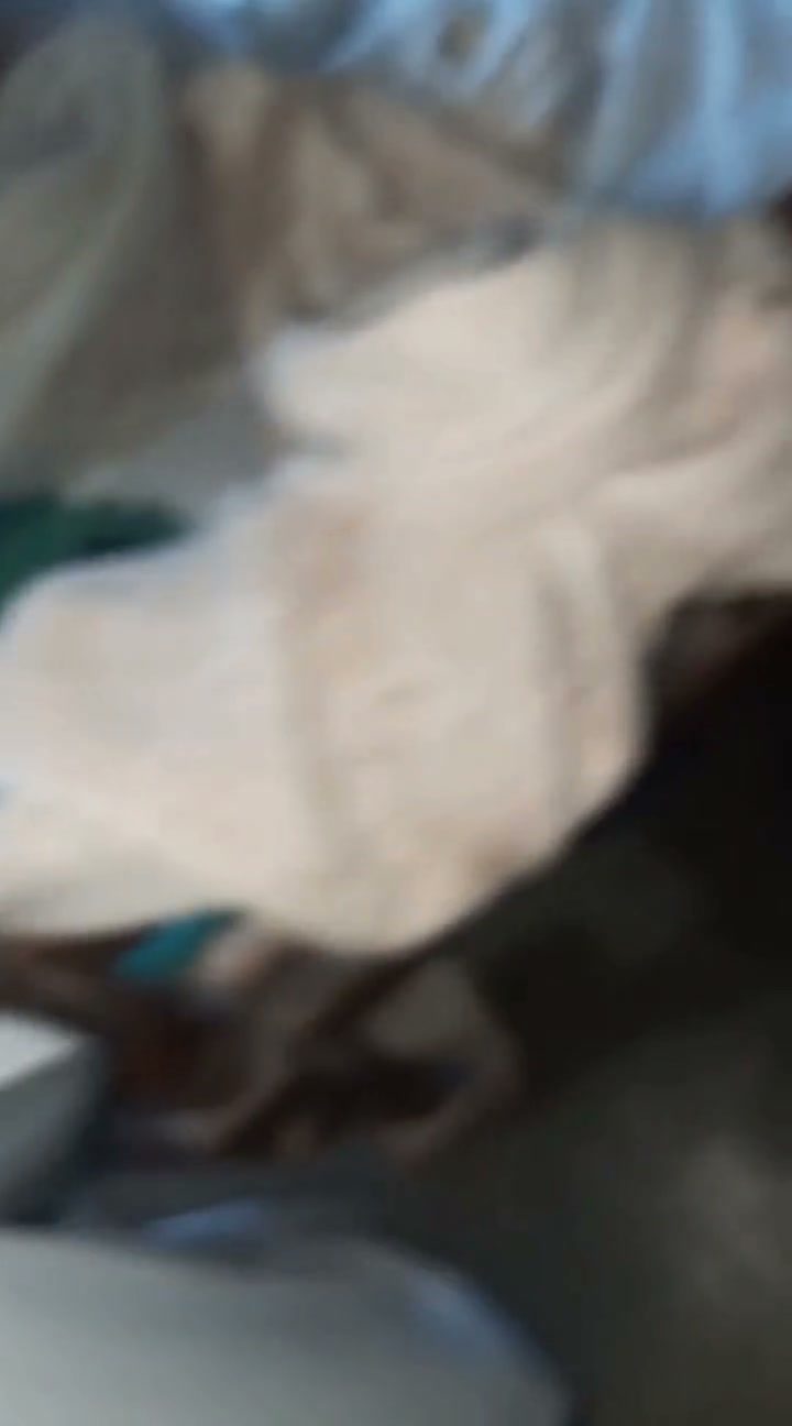 Frame 1