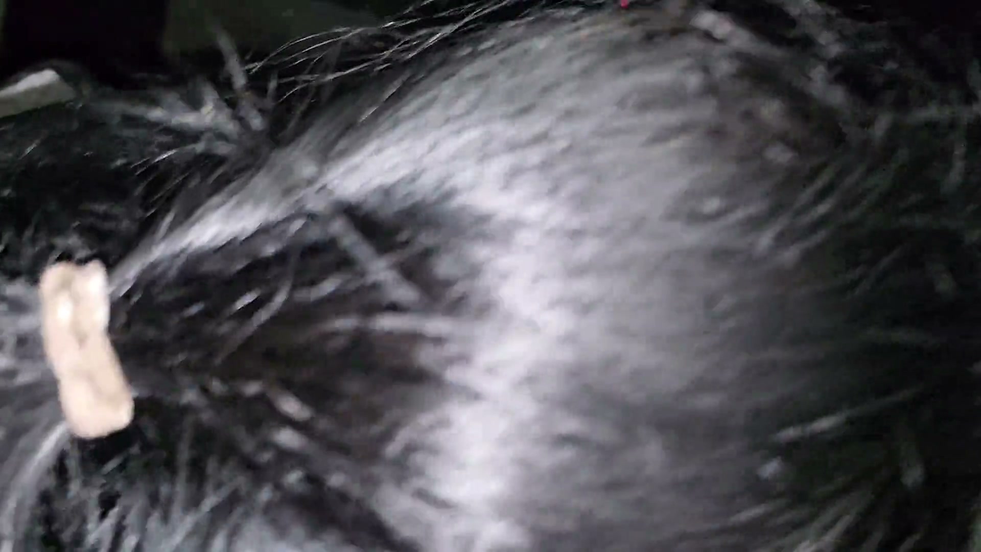 Frame 4