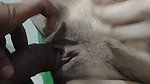 Desi Village Wife Fuck Husband Homemade