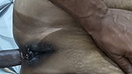 Desi Bengoli Wife Ass Fuck