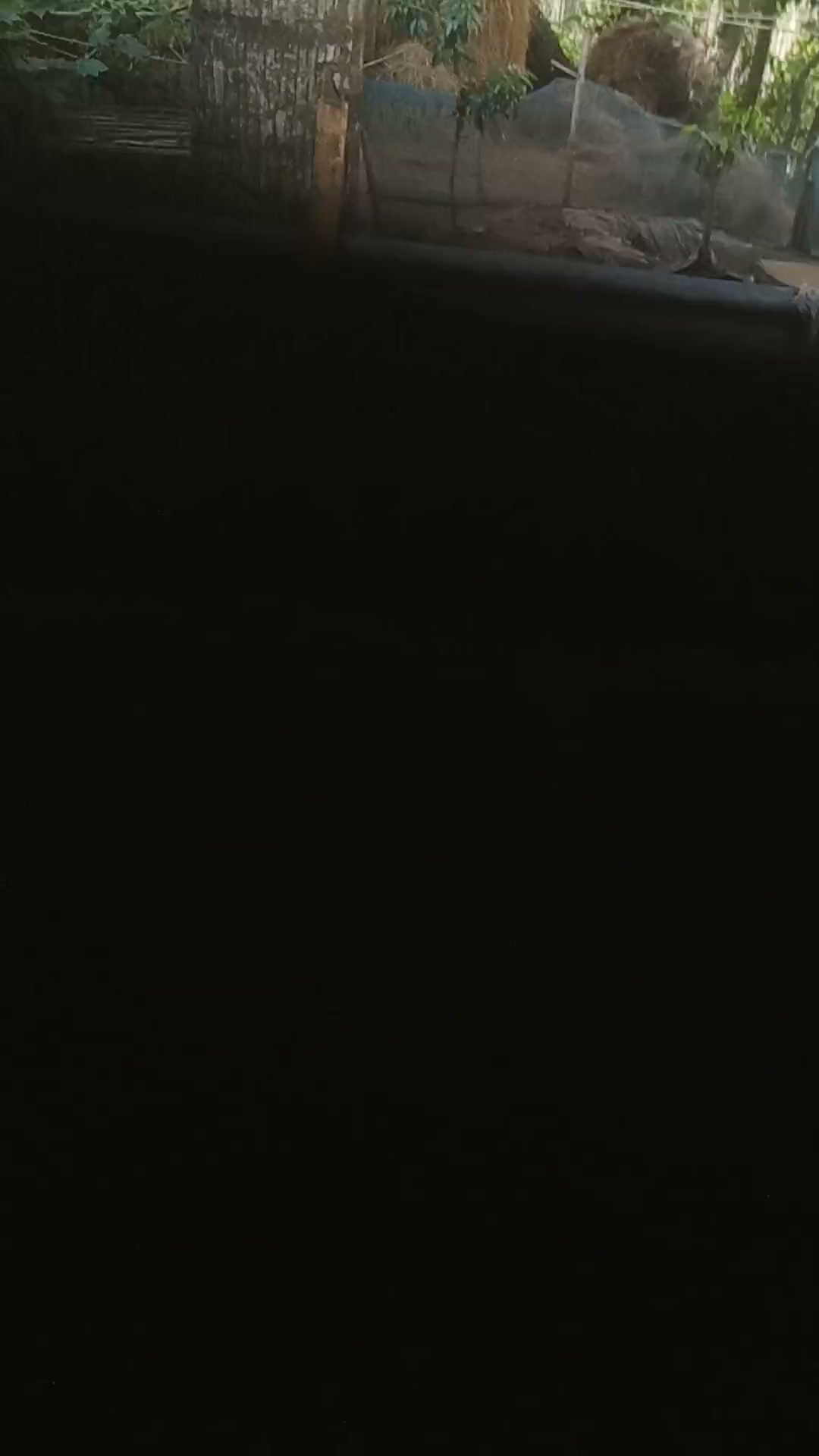 Frame 9