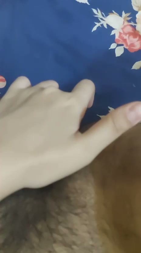 Frame 6