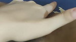 Beautiful Sexy Young Bengali GF Showing Pressing Boobs Fingering Masturbating 2 8