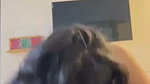 Sexy Indian Girlfriend Showing Mastrubating Blowjob Fucking in Doggy 14