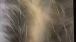 Sexy Indian Girlfriend Showing Mastrubating Blowjob Fucking in Doggy 7
