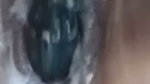 Wife dildo in home