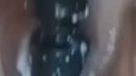 Wife dildo in home