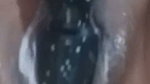 Wife dildo in home