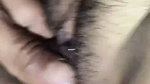 New desi hot bhabhi sex video