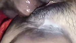 New desi hot bhabhi sex video