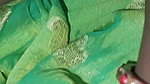 My husband loves to fuck me in green saree