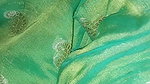 My husband loves to fuck me in green saree