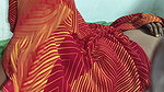 Indian woman with a saree