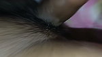 Devar and Deshi bhabhi hard fuck